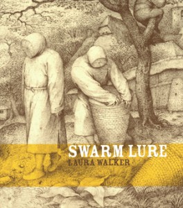 swarm lure cover_small